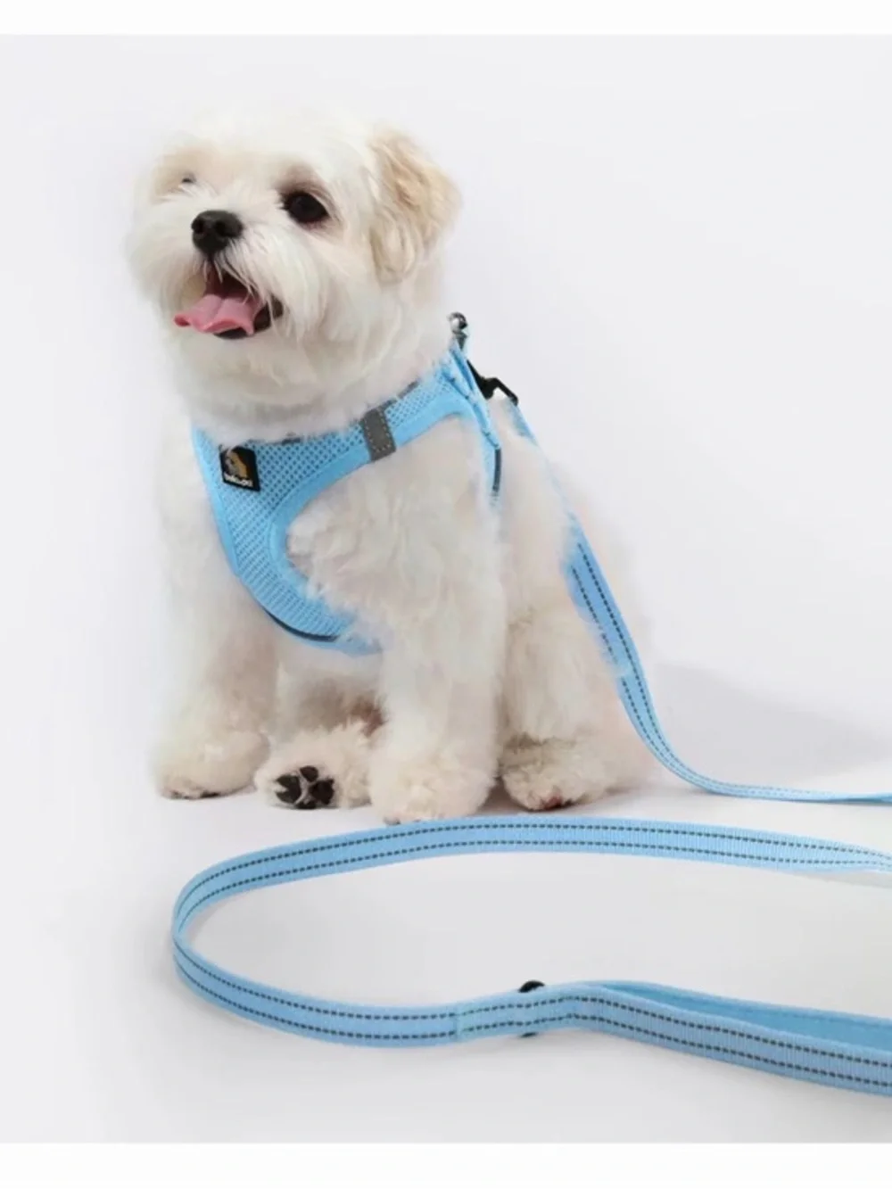🫶🏻 Bella & Pal Oxymesh Light Blue Dog Harness and Leash Set